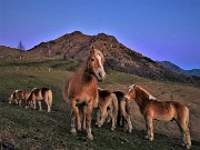 06 Con i cavalli alla Forcella di spettino al rientro con tramonto inoltrato